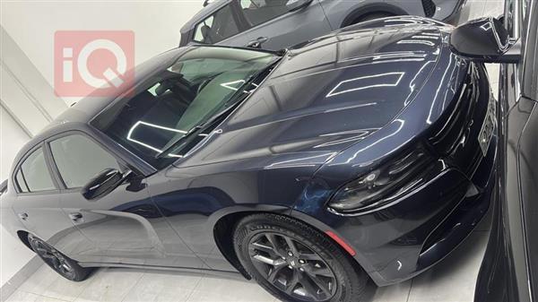 دۆج چارجەر 2019  بۆ فرۆشتن لە عێراق - هەولێر